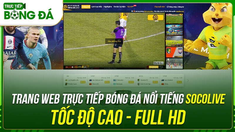 Website live trực tiếp bóng đá tốc độ cao