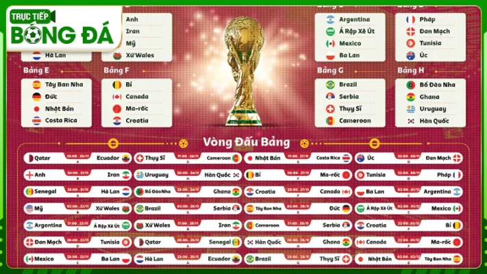 Lịch thi đấu World Cup cập nhật nhanh chóng